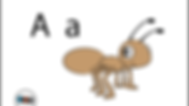 Alphabet Flashcards