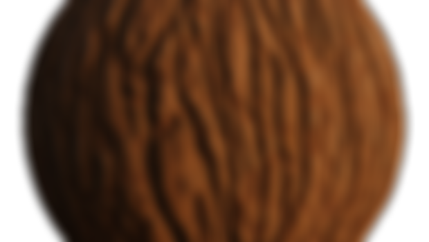 Stylized Bark Texture (1K)