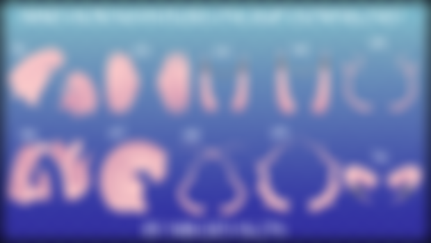 MMD Horns/Antlers pack #7 Download