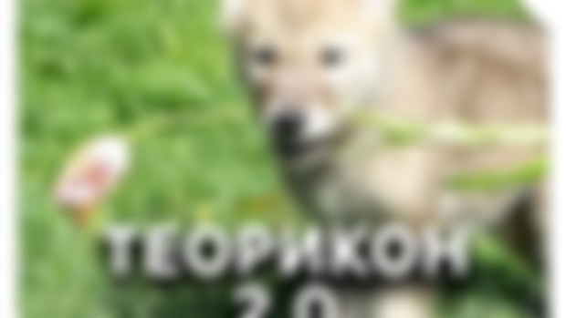#56 Первый Юбилейный