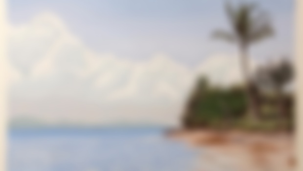 Hawaiian Beach Project