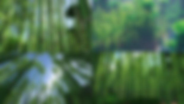 Bamboo, Sugar Cane, Sun Flowers, Quartz ... and more