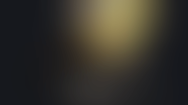 [Animated] bee hover