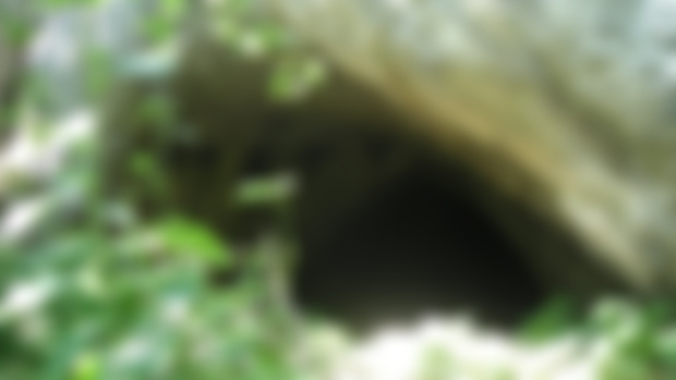 New Battle Map - Creatures Cave Den
