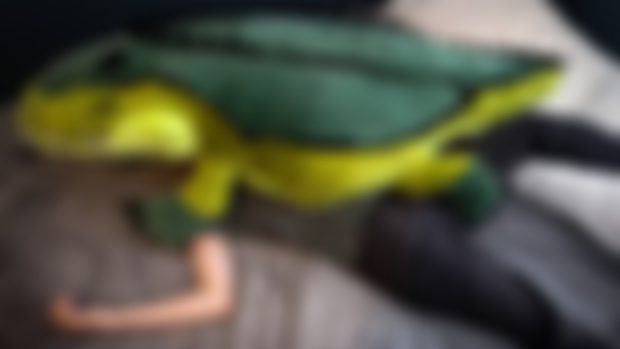 GIANT GATORS - LIVE PREORDER + SALE CODE (30% off)