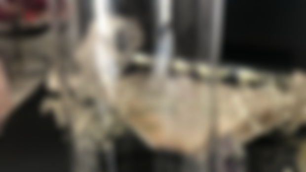 New Project is comming