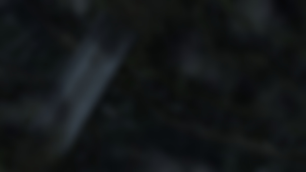 Forked River (Clip File)