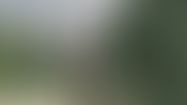 Animation (2B) WIP 2