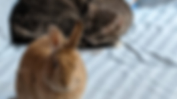 Felix and Simon