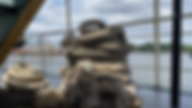 Ahoy, Channel Mammal Patron Brigade!
