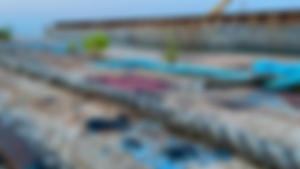 Ahoy! to “The Channel Mammal Patron Brigade”