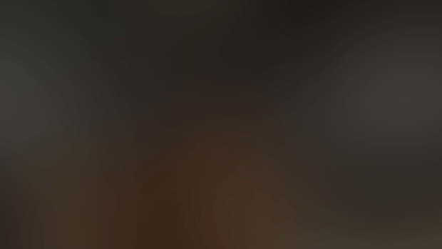 Holiday (version 12) - VR Update