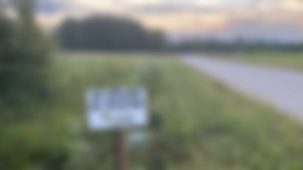 Signs