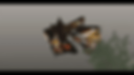 Shot #89 Preview