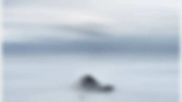 Rocks, sea, and time, Lago Llanquihue, Chile, 2021