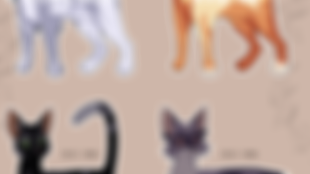 Feline Adopts