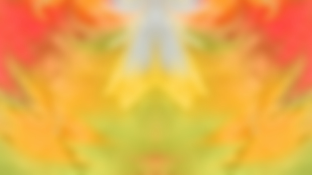 Comb.72