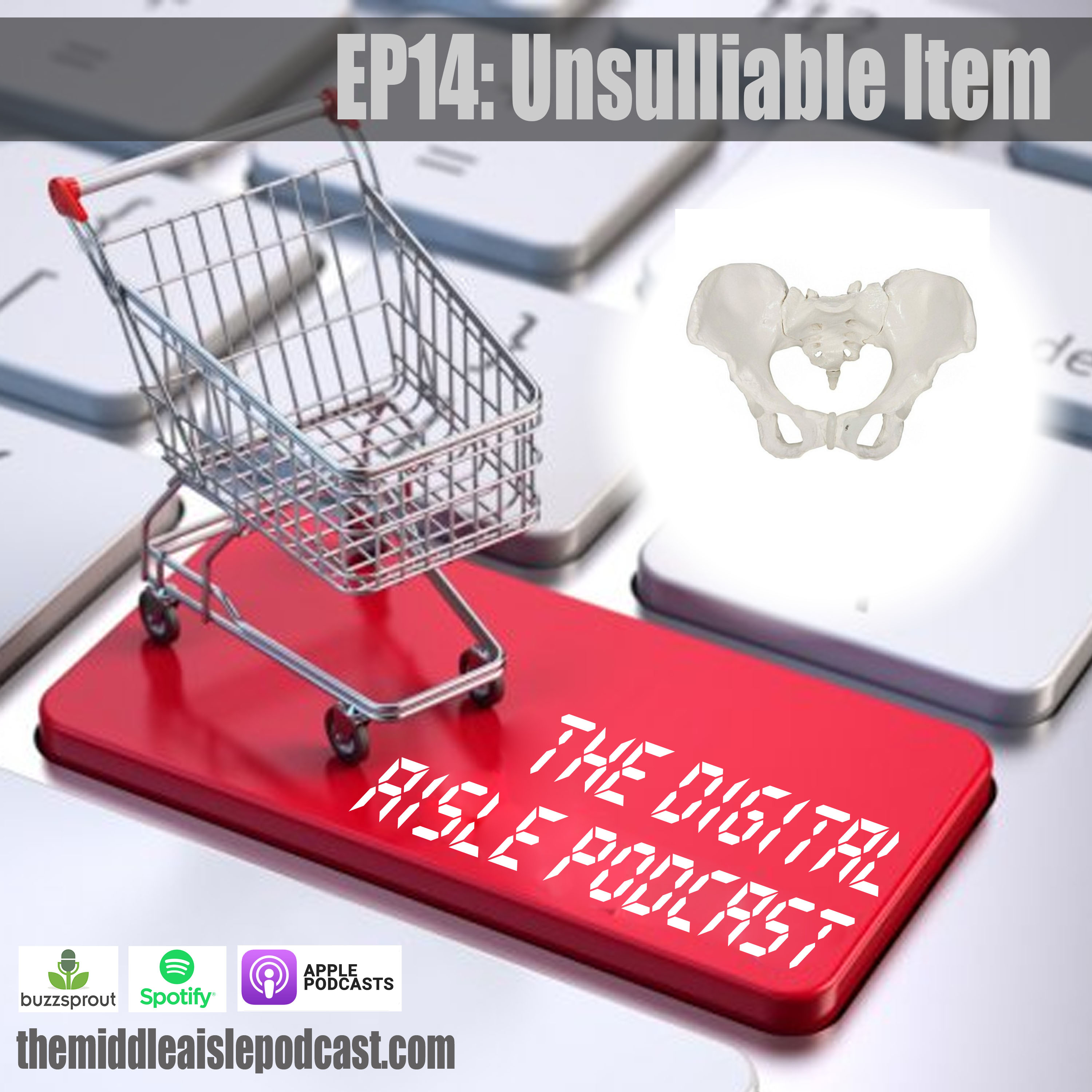 The Digital Aisle Podcast: Ep14 - Unsulliable Item episode artwork