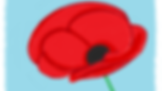 Remembrance Day