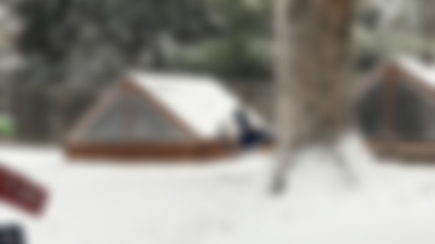 Its snowing and the temps are holding!