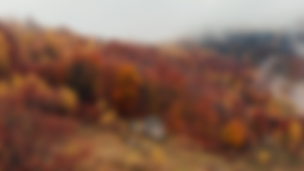 #4 The Most Beautiful Day in Fall