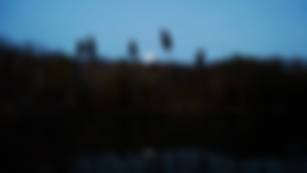 The December Update, In January