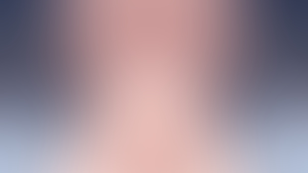 Zero Two is worth it Folder