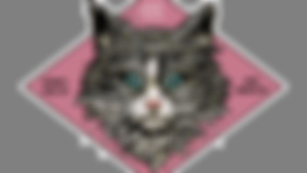 Happy Belated New Year from the Cat Man's Home For Hairy Hoodkittens!