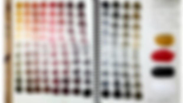 Exploring Color Palettes
