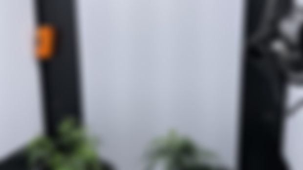Patreon Early Access 01/23/2022