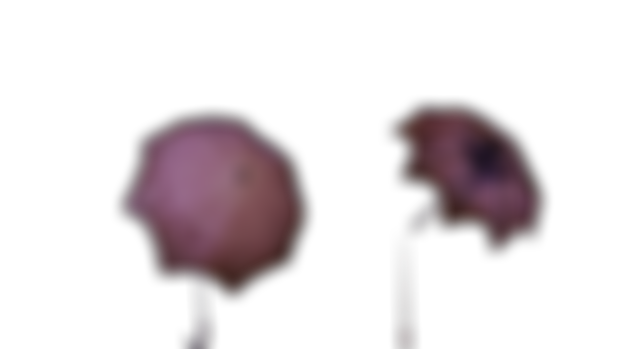 Hush (Neo's Umbrella) Rigged! V2!