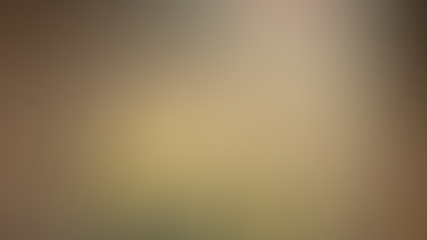 Sneak Peak