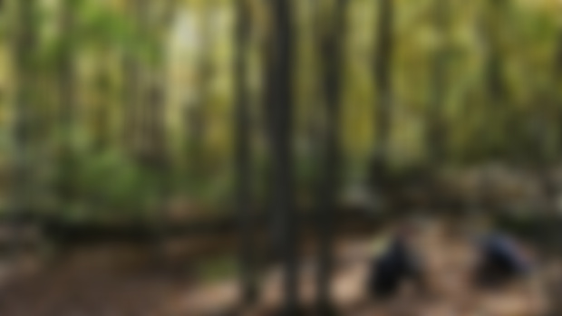 Vermont's Natural History course - discount for patrons