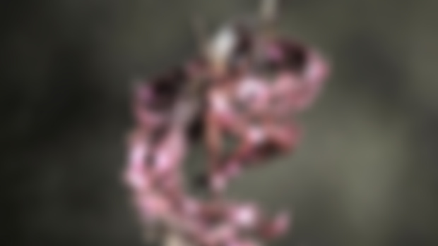 Yncarne incoming!