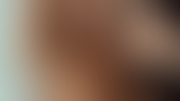 February Update 2019 SEAF Throwback - NSFW