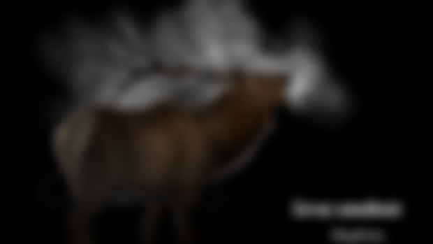 MMM artwork round 4 & 5