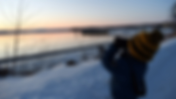 Come birding with me this Sunday