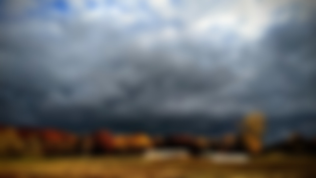 Food Stamps and Crop Insurance and the Commodification of the World