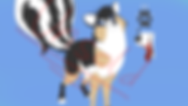 Another Skunk Dog