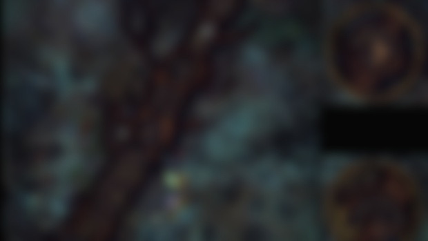 Wild Beyond the Witchlight - Thither (Patrons)