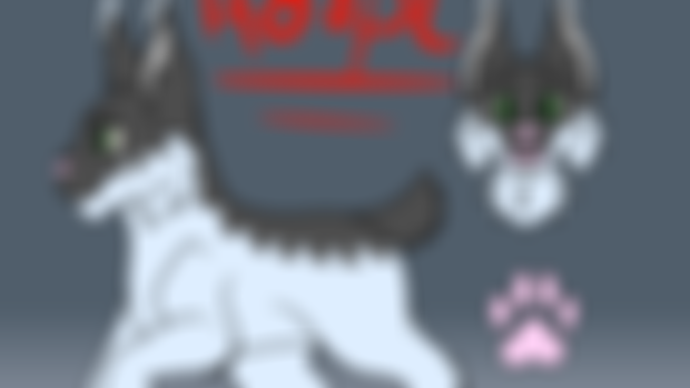 Lynx Adopt