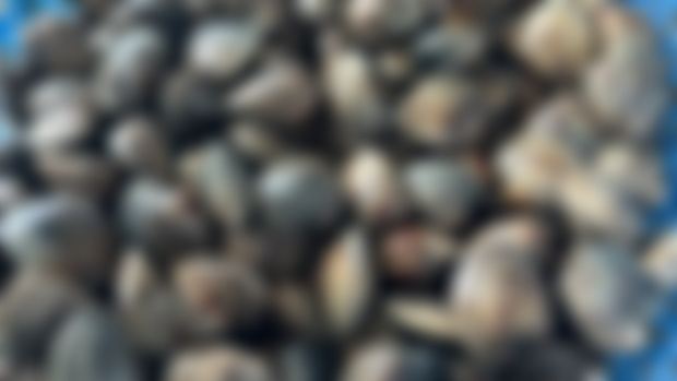 Clams and Pickleballs