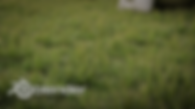 Grass .blend file