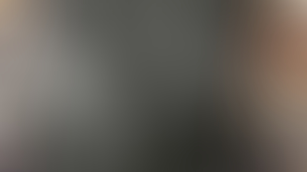 Preview of New Painting 
