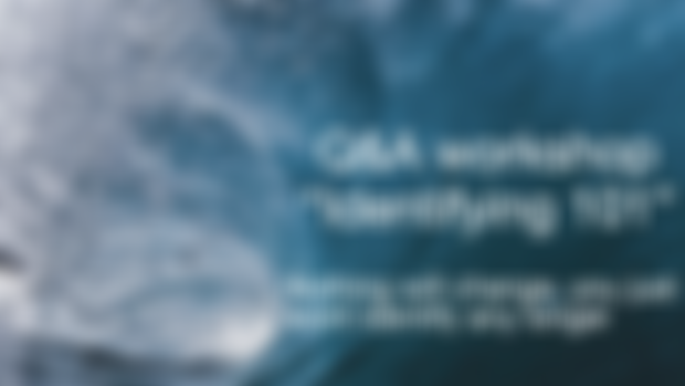 Material for Q&A workshop "non-identifying 101" 11th June 2022