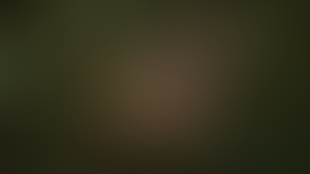 Lara in the wild (2K)