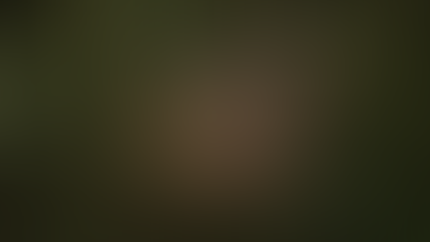 Lara in the wild (5K)