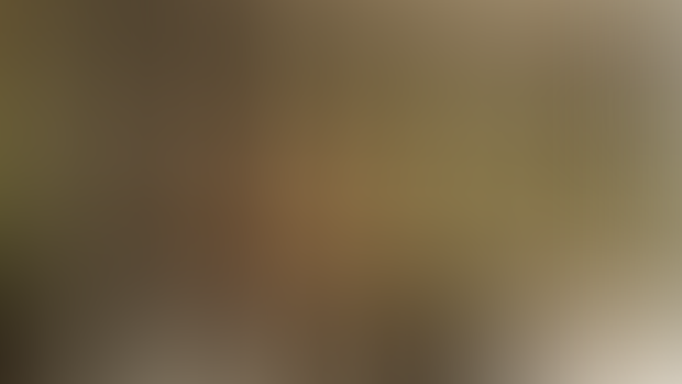 Animation WIP