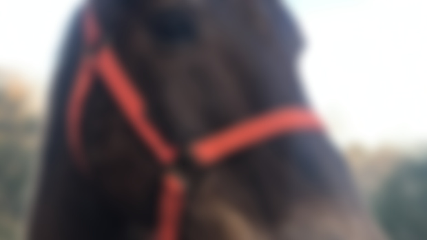 Update on Rio