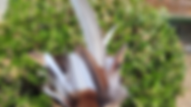 Updates and Tier Edits!